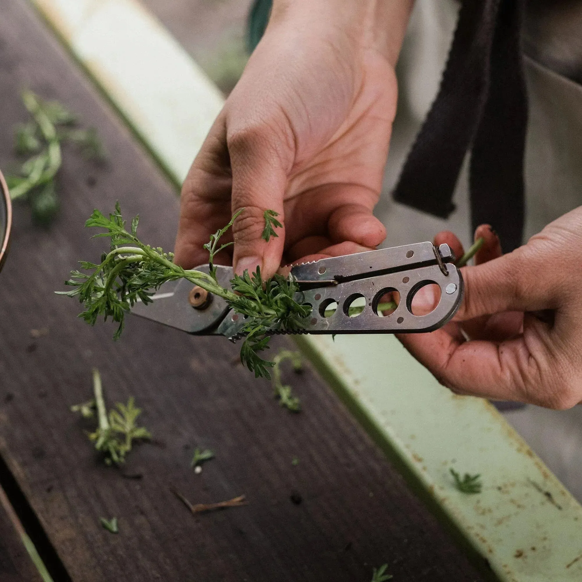 Barebones Herb Harvest and Strip Tool