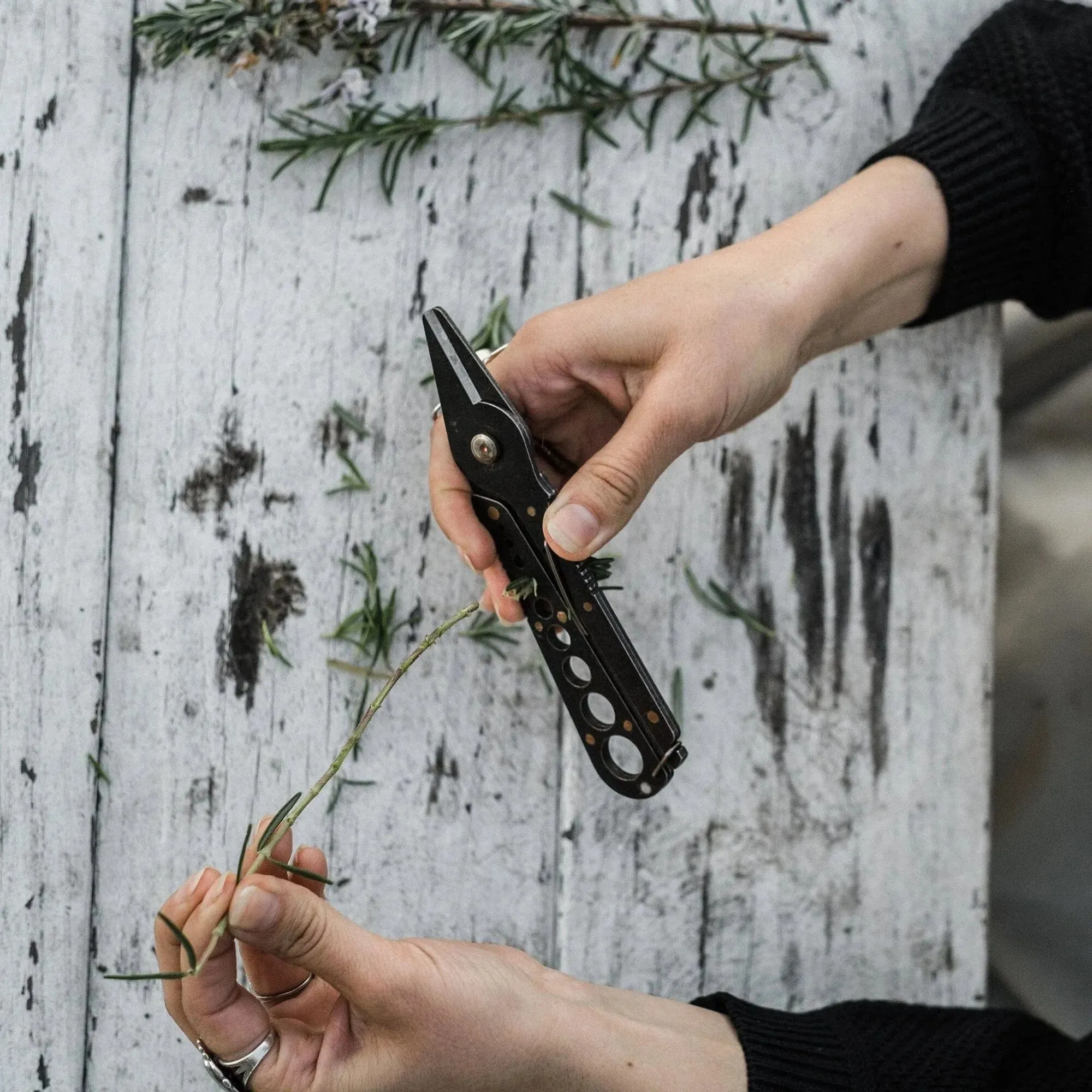 Barebones Herb Harvest and Strip Tool