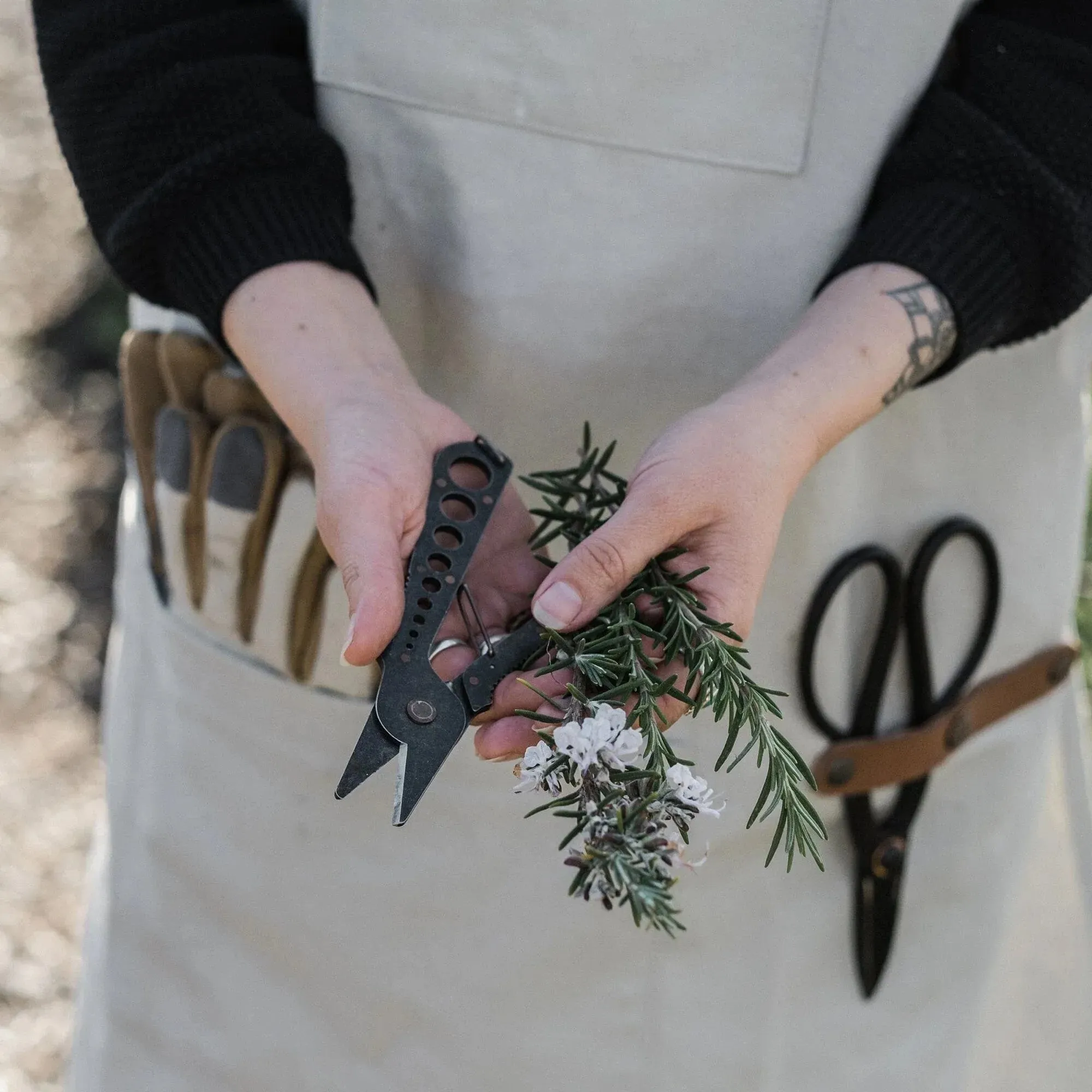 Barebones Herb Harvest and Strip Tool