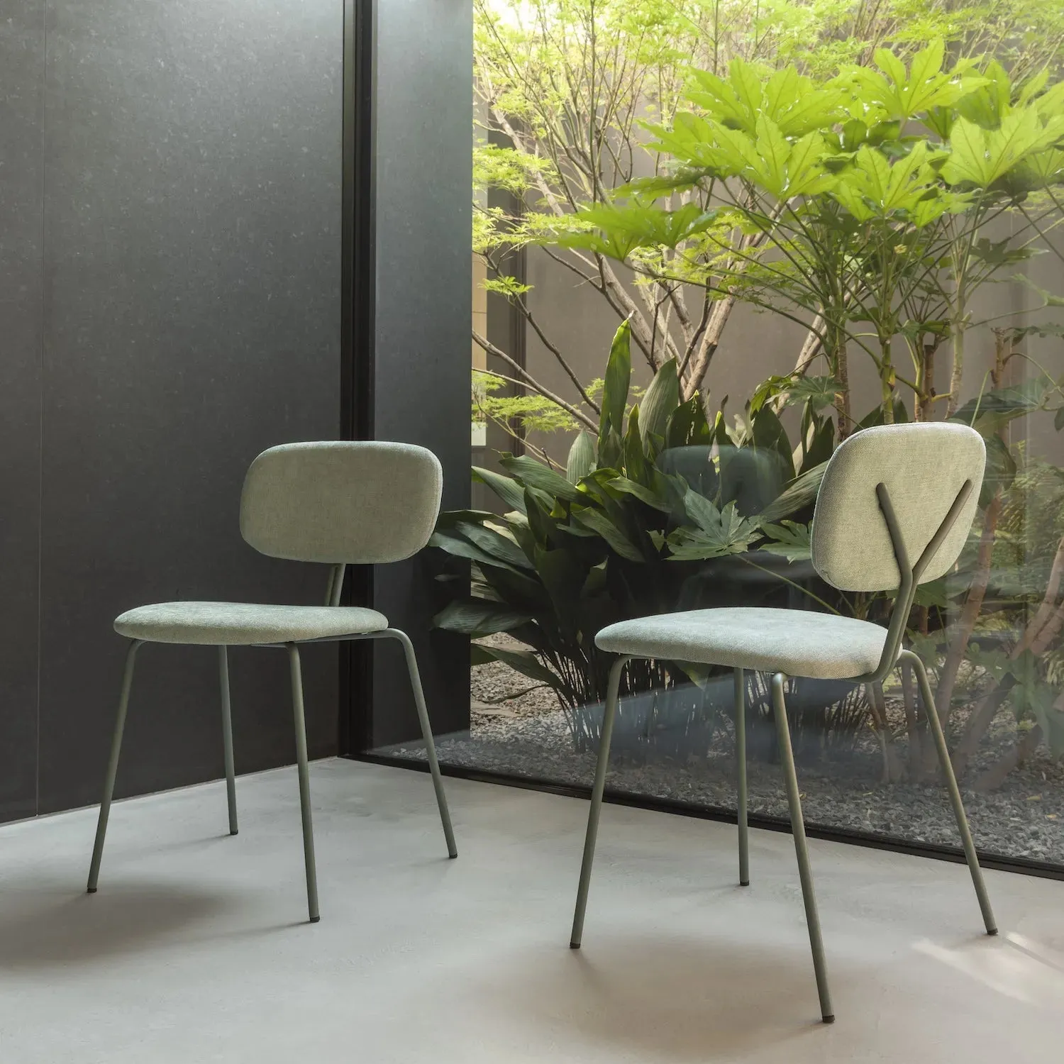 Class - Minimalist Dining Chairs