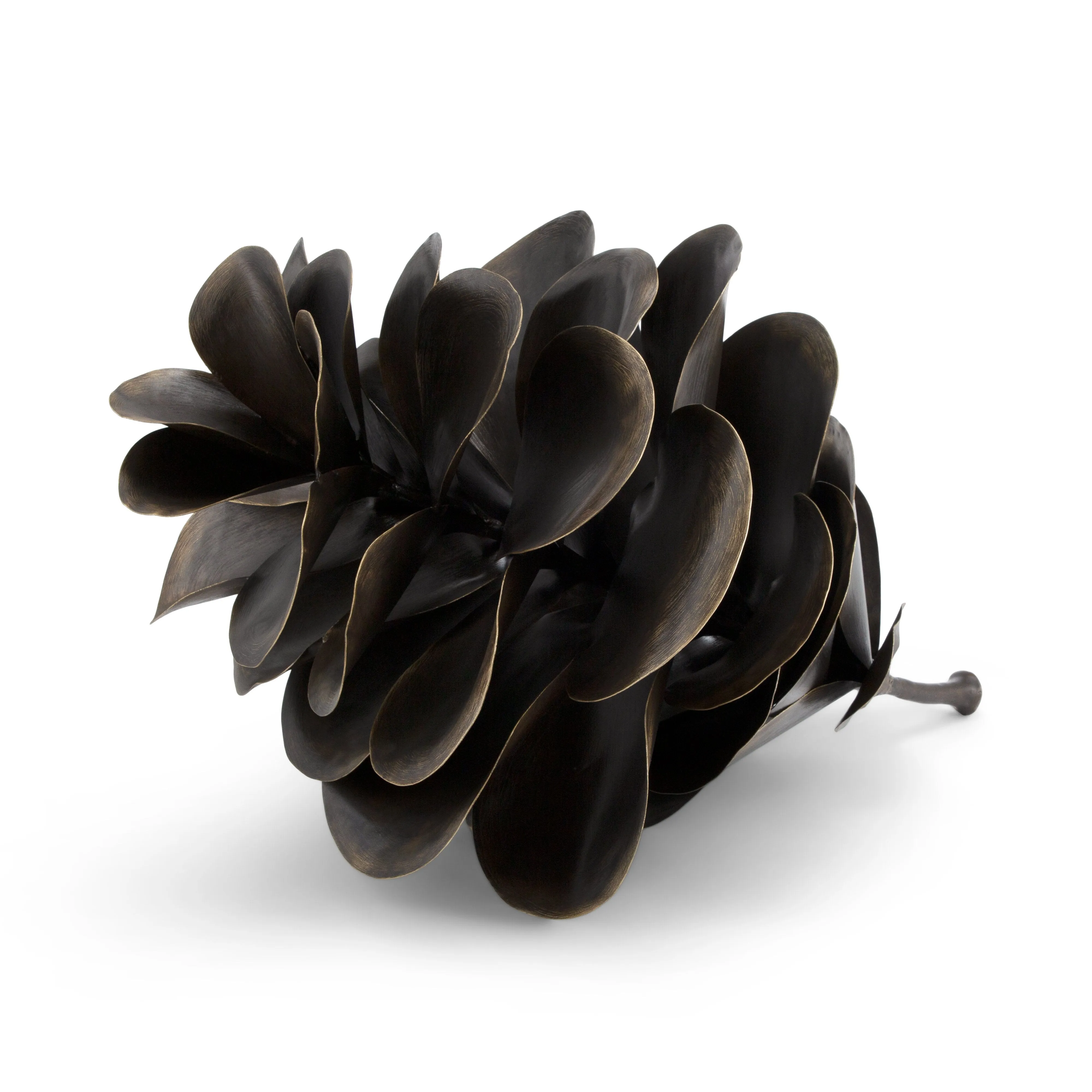 Pine Cone Object